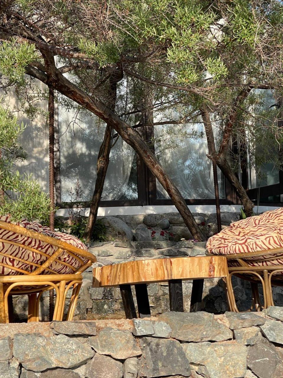 Ak-Tengir Yurt Resort Tossor Kültér fotó